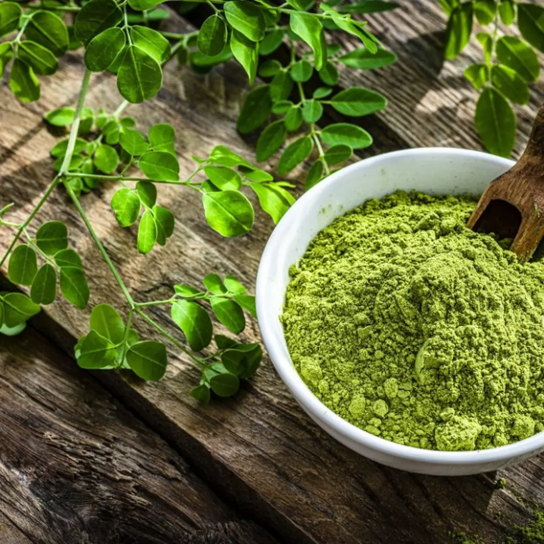 Moringa powder in a bowl with fresh leaves